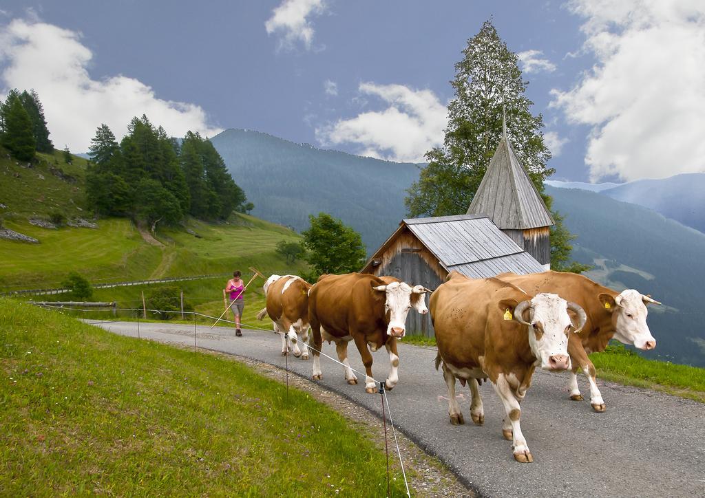 Schrunerhof Ebene Reichenau الغرفة الصورة