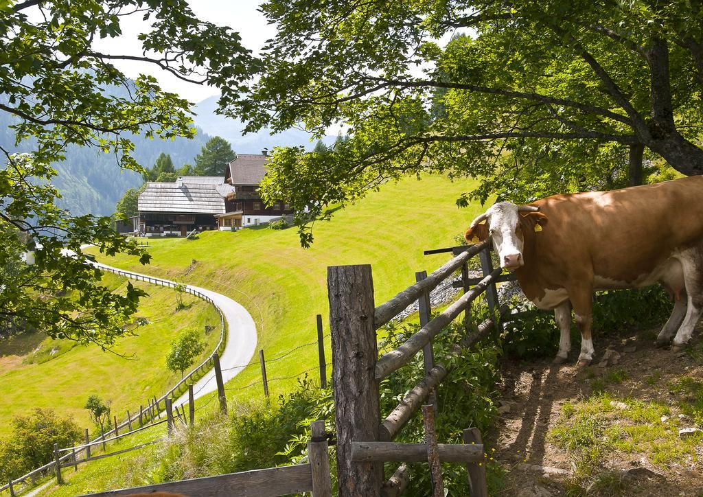 Schrunerhof Ebene Reichenau المظهر الخارجي الصورة