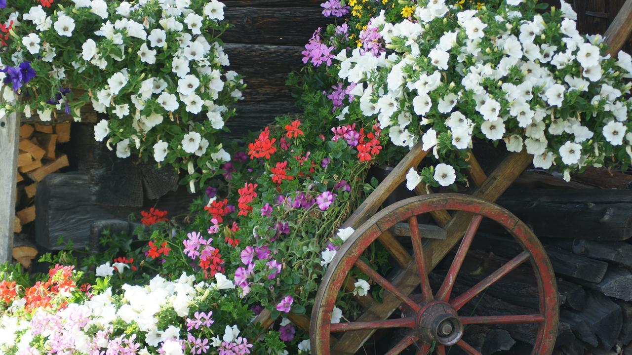 Schrunerhof Ebene Reichenau المظهر الخارجي الصورة