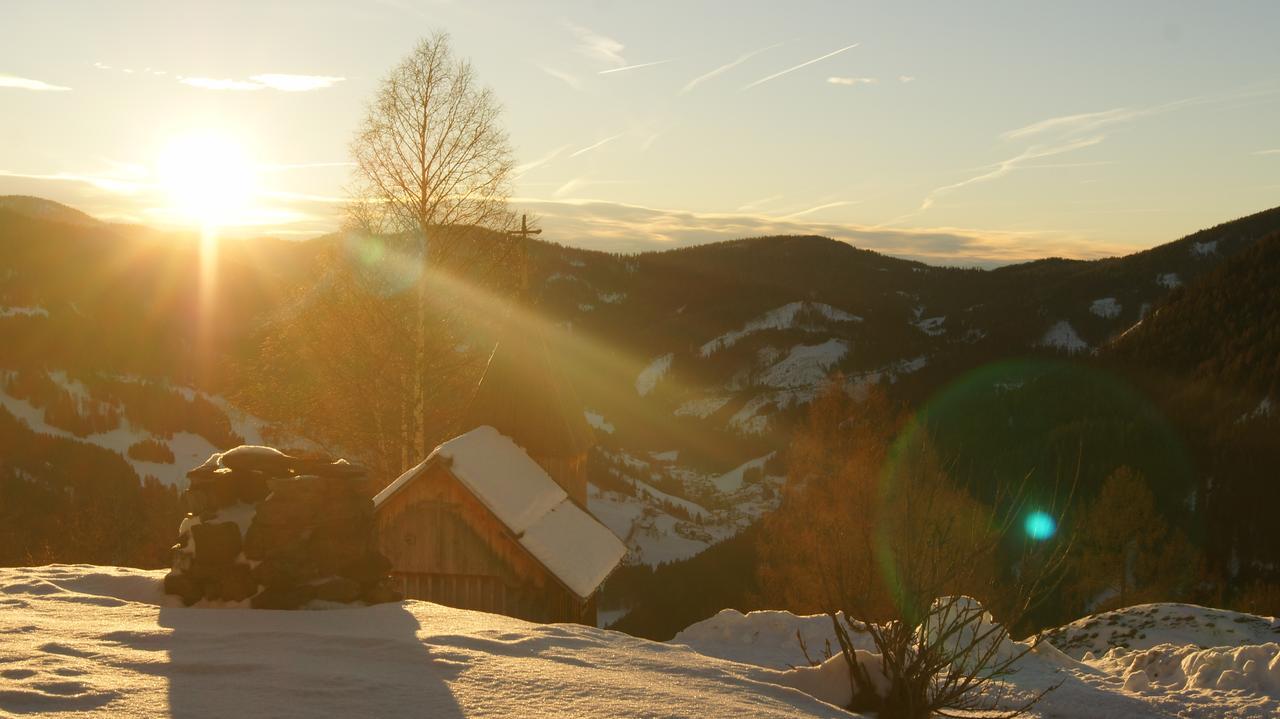 Schrunerhof Ebene Reichenau المظهر الخارجي الصورة